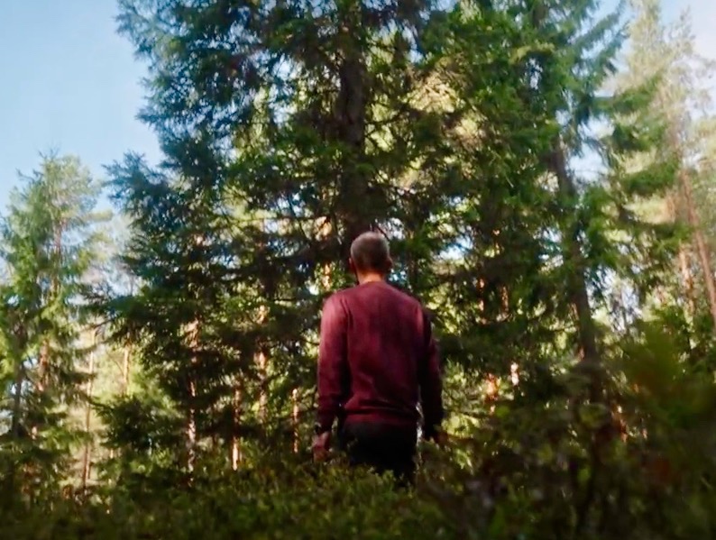 Norwegian quest for the perfect Christmas tree to send to&nbsp;London