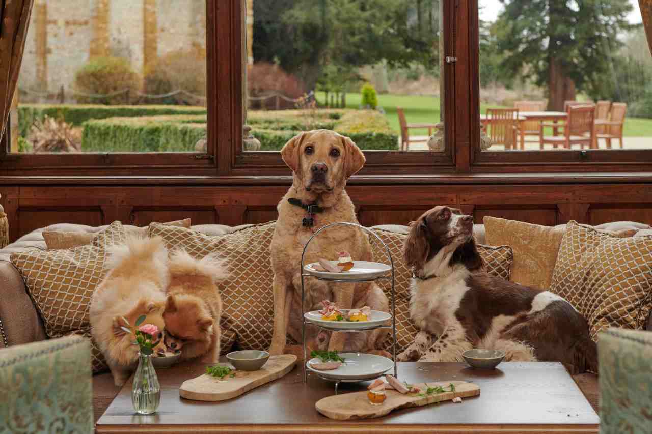 Hotel that hosted pop icon Prince welcomes new breed of&nbsp;VIPs