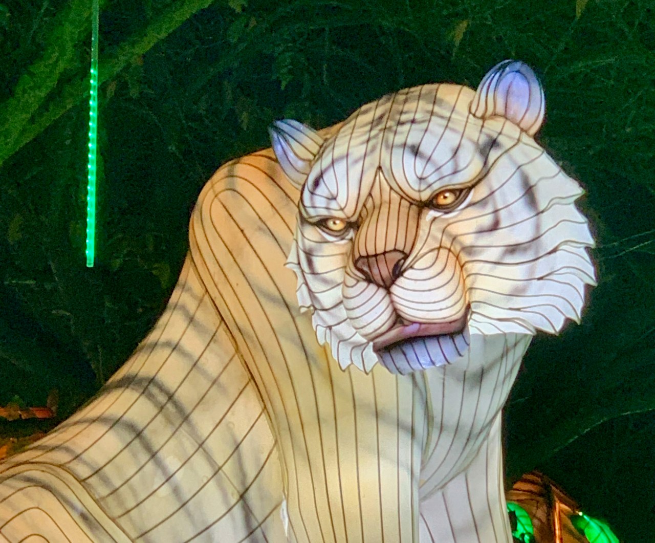 Lanterns of the Wild trail, Twycross Zoo – review and pictures